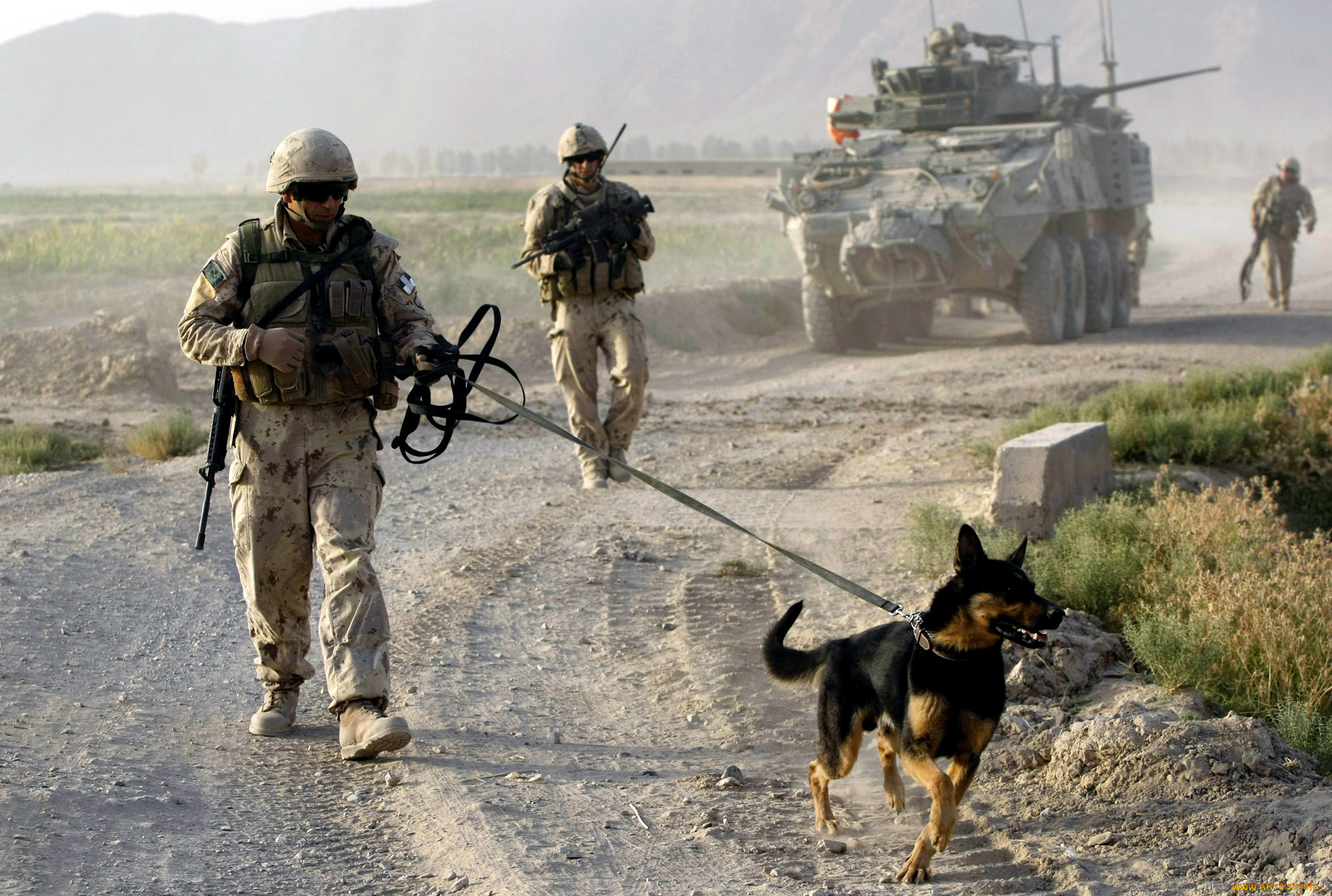 , , , military, army